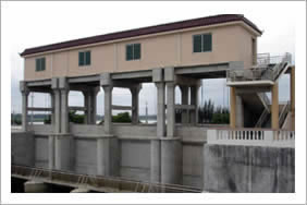 ���̌���